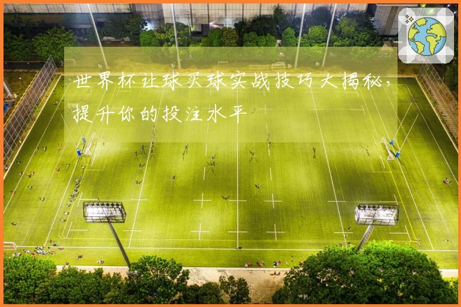 世界杯让球买球实战技巧大揭秘，提升你的投注水平