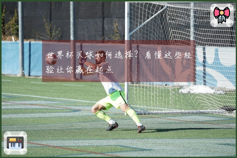 世界杯买球如何选择？看懂这些经验让你赢在起点