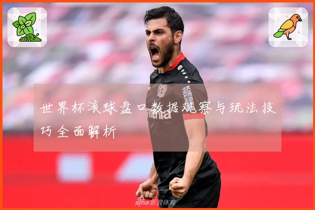 世界杯滚球盘口数据观察与玩法技巧全面解析