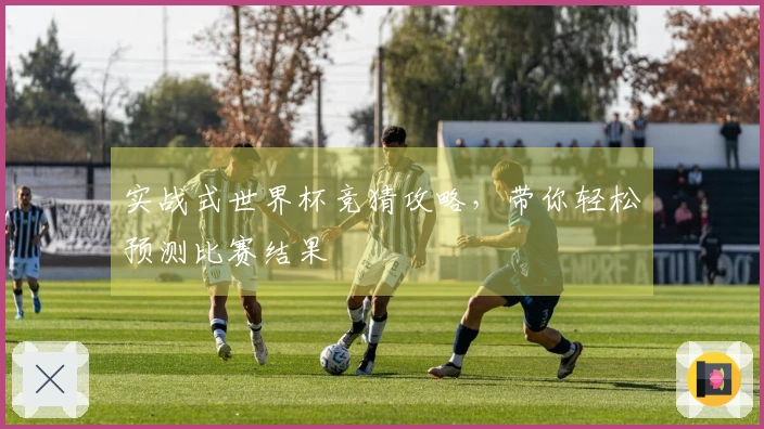 实战式世界杯竞猜攻略，带你轻松预测比赛结果