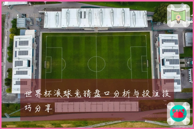 世界杯滚球竞猜盘口分析与投注技巧分享