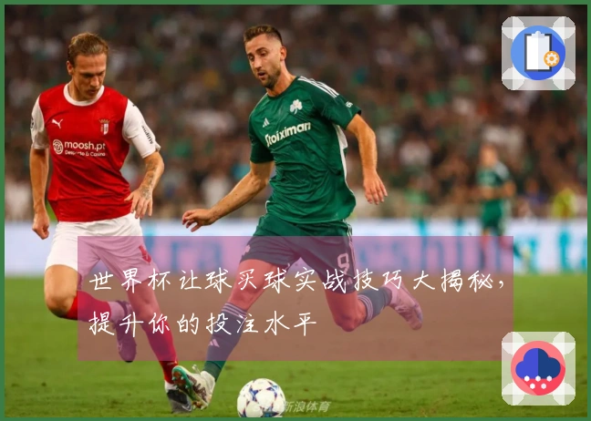 世界杯让球买球实战技巧大揭秘，提升你的投注水平