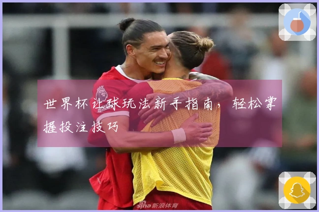 世界杯让球玩法新手指南，轻松掌握投注技巧