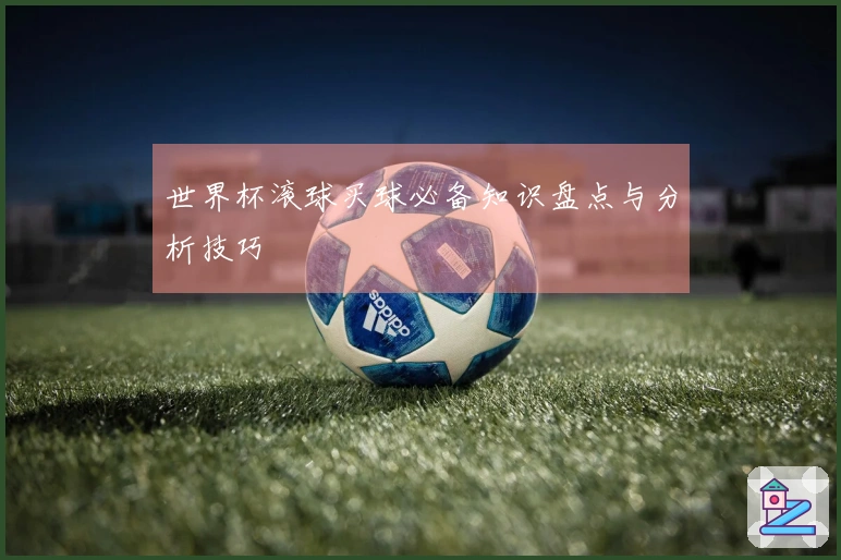 世界杯滚球买球必备知识盘点与分析技巧