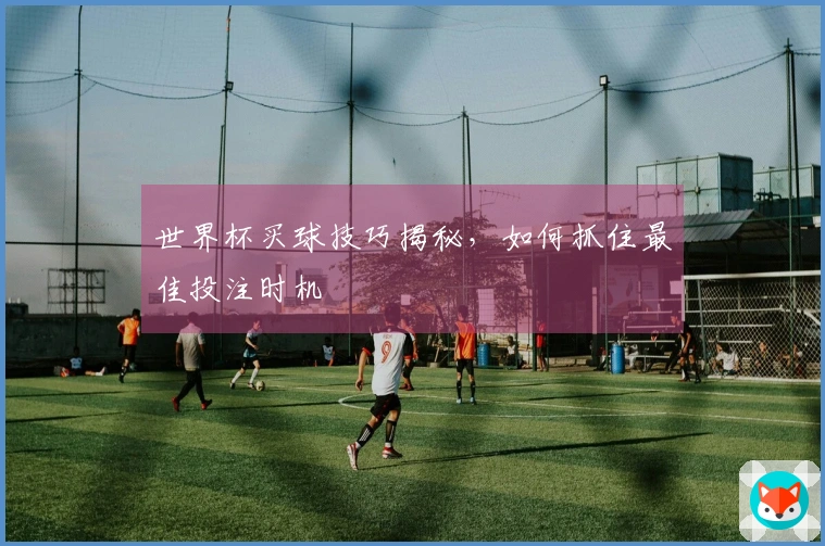 世界杯买球技巧揭秘，如何抓住最佳投注时机