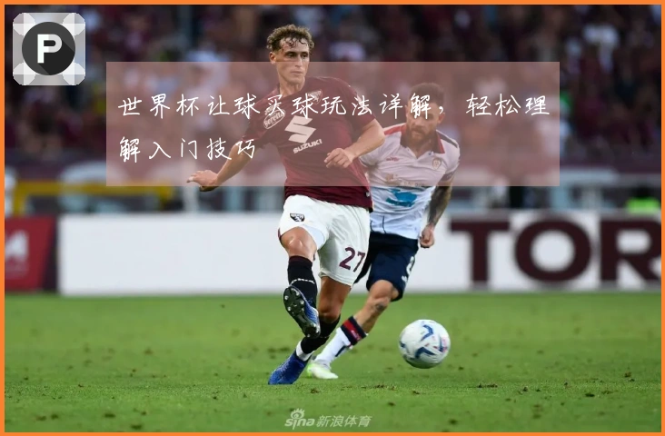 世界杯让球买球玩法详解，轻松理解入门技巧