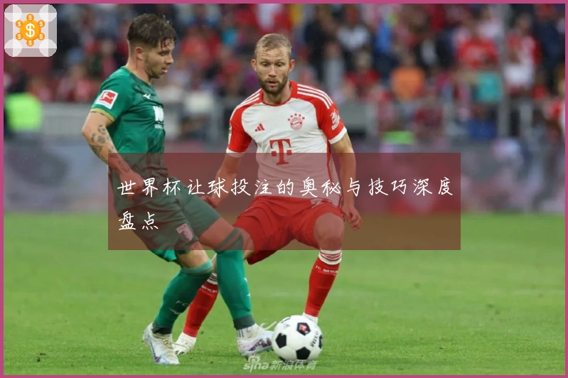 世界杯让球投注的奥秘与技巧深度盘点